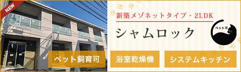 �V�������b�N